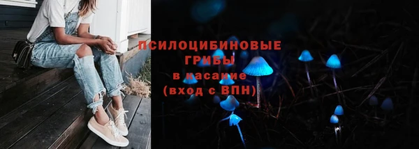 2c-b Богородск