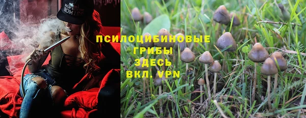 2c-b Богородск