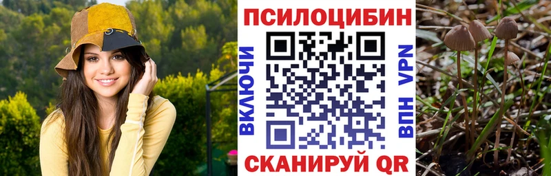 Псилоцибиновые грибы Magic Shrooms  Купить  Искитим 